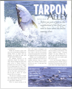 Tarpon Alley thumbnail