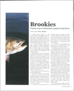 Brookies thumbnail