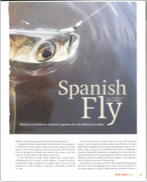 Spanish Fly thumbnail