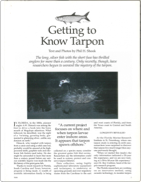 Getting to Know Tarpon thumbnail
